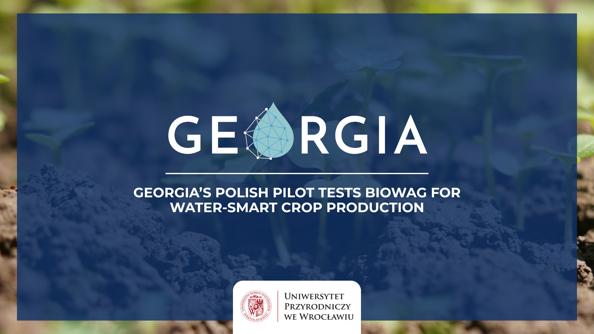 Water management GEORGIA