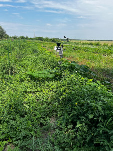 Increased soil water retention through sub-surface installed BioWAGs at the GEORGIA pilot site in Serbia
