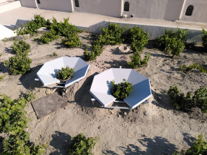 Passive atmospheric water collection in vineyards through Kouloura dew condensartion units at the pilot site in Santorini, Greece