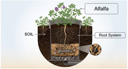 smart water management