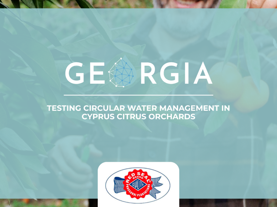 Testing Circular Water Management in Cyprus Citrus Orchards