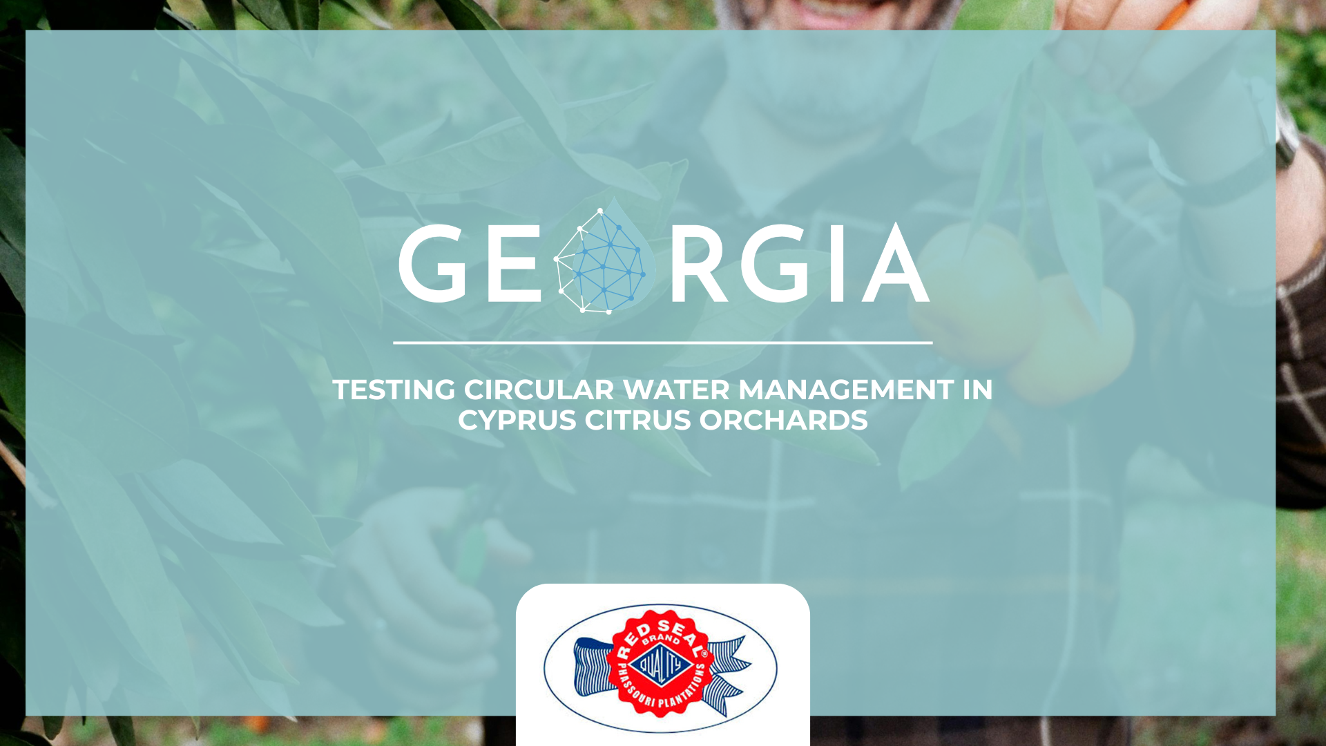 Testing Circular Water Management in Cyprus Citrus Orchards