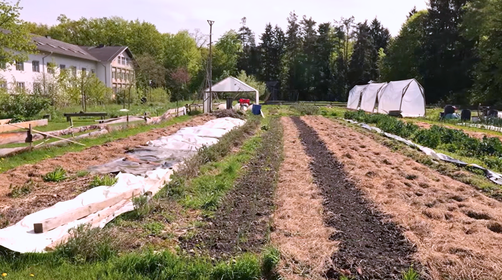 Cambium Eco-Village in Austria, where GEORGIA explores water reuse, water retention and nature-based systems for resilient agriculture.